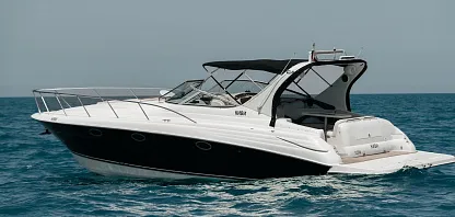 Киви2007test123
