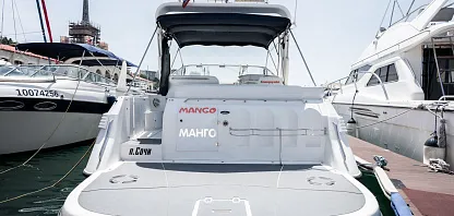 Манго2000